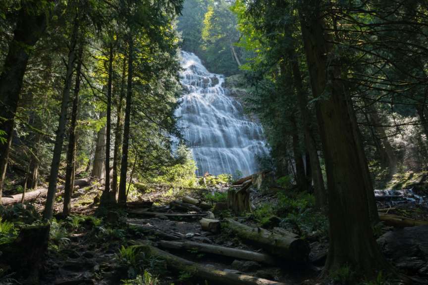 Ein Wasserfall inmitten eines Waldes mit vielen Bäumen
