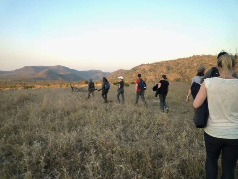 Eine Gruppe von Menschen, die in einem Feld spazieren gehen