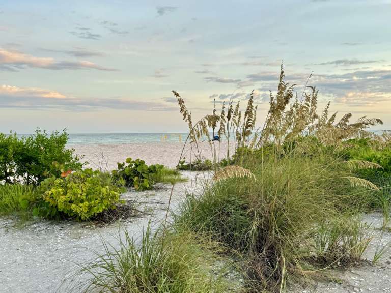 Ein Strand mit einem blauen Strandkorb im Hintergrund