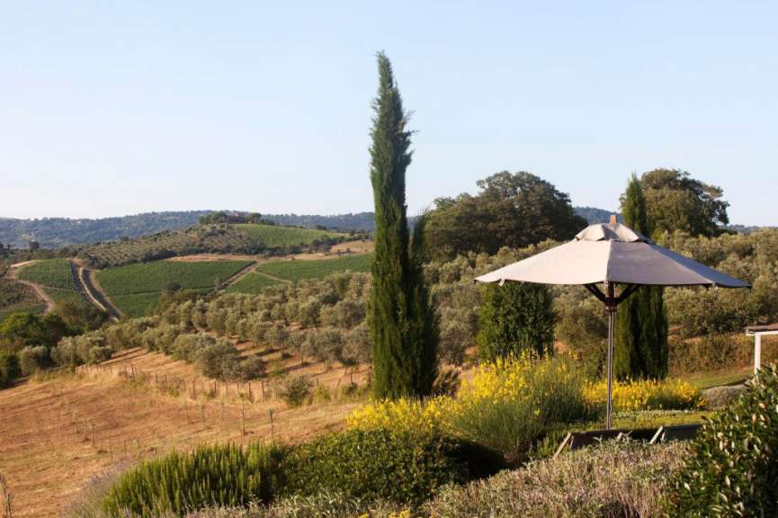 Ein Sonnenschirm steht in einem Garten mit Blick auf einen Weinberg
