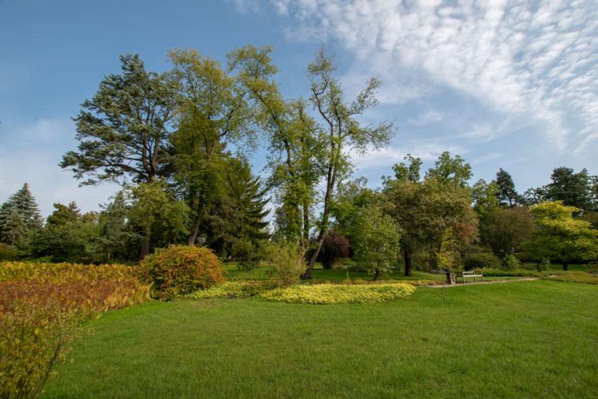 Ein Park mit Rasenflächen, Bäumen und einer Bank im Hintergrund unter blauem Himmel mit Wolken.