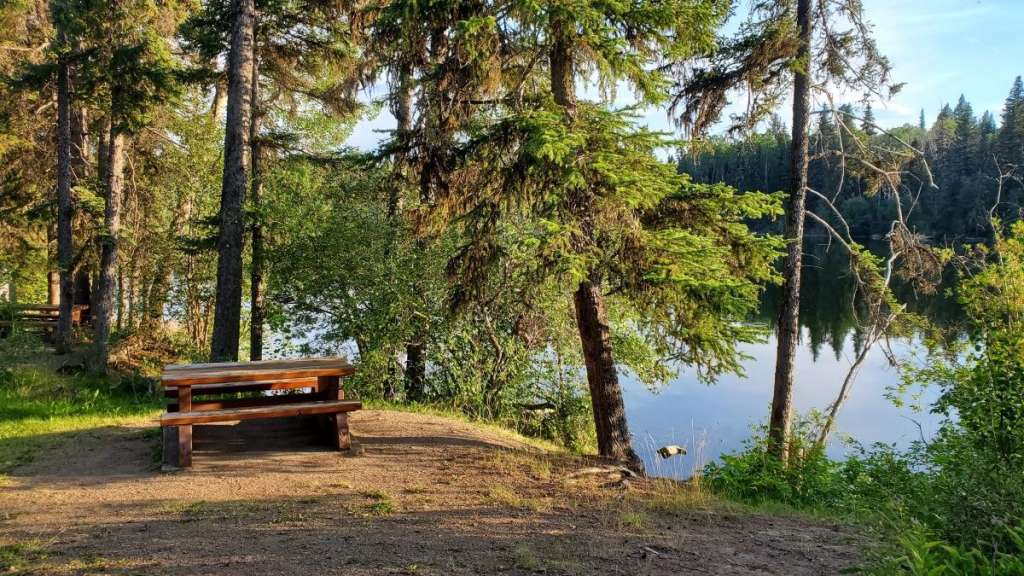 Ein Picknicktisch im Wald neben einem See