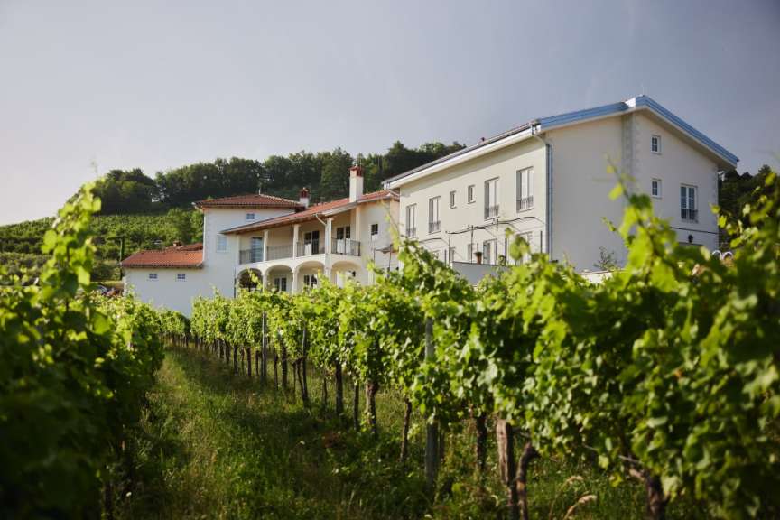 Ein großes weißes Haus sitzt auf einem Hügel neben einem Weinberg