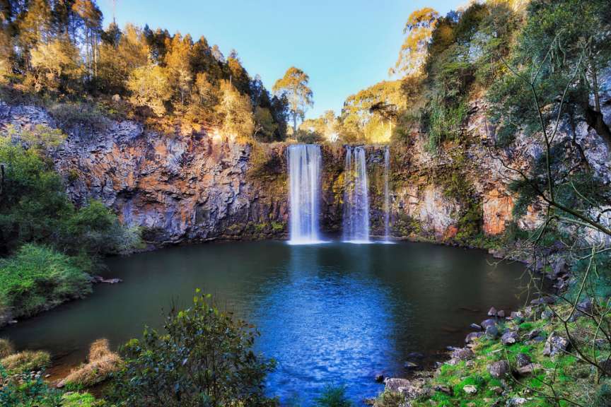 Dangar Falls im Dorrigo National Park