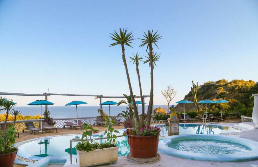 Ein großer Pool mit einer Palme in der Mitte