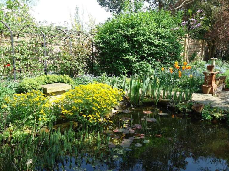 Ein Garten mit einem Teich und gelben und orangefarbenen Blumen