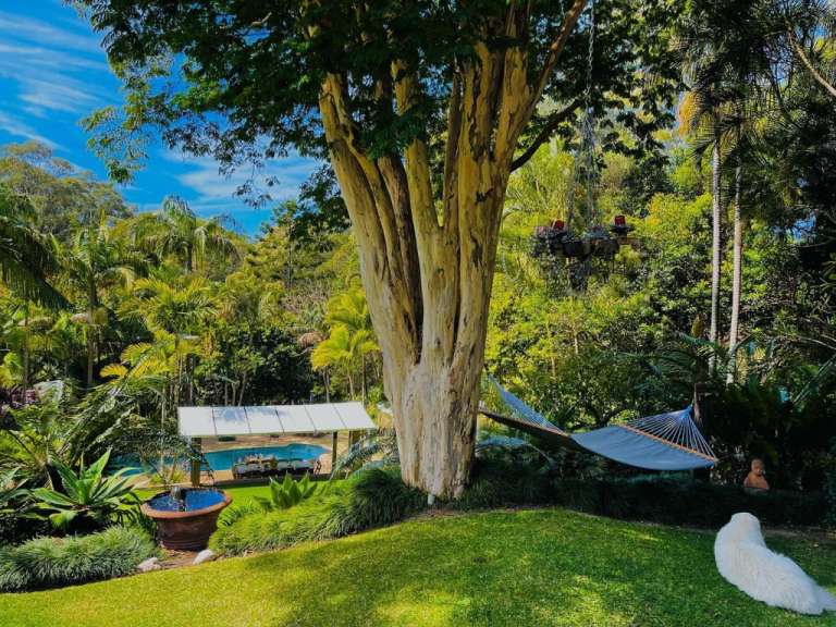 Ein weißer hund sitzt im gras neben einer hängematte