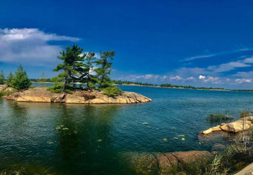 Eine kleine Insel im Wasser mit Bäumen darauf