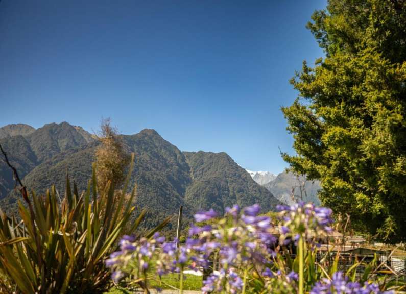 Lila Blumen in einem Garten mit Bergen im Hintergrund