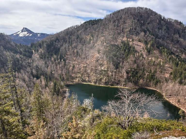 Ein See inmitten eines Waldes mit einem Berg im Hintergrund