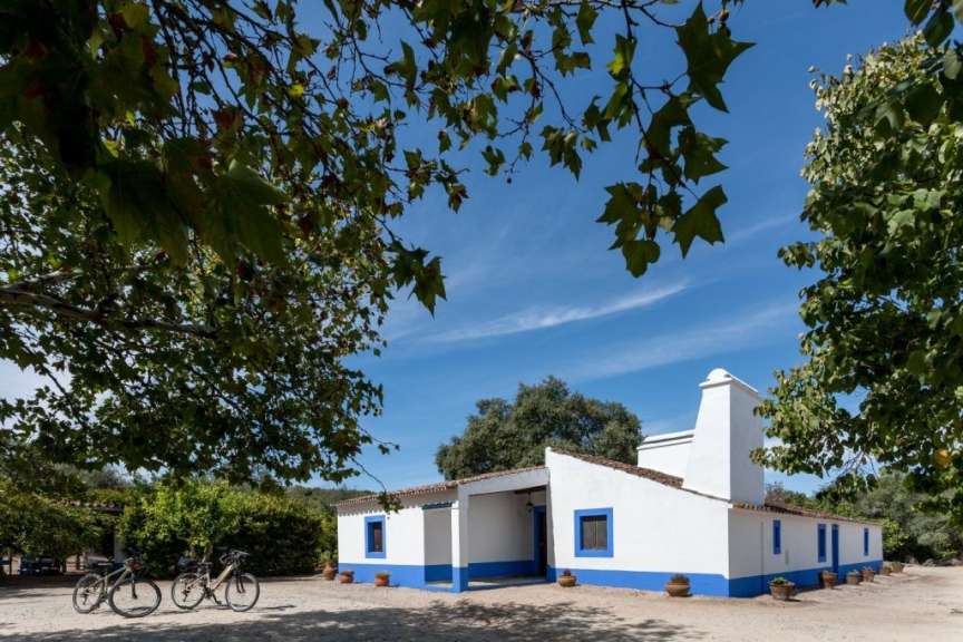 Ein weißes Haus mit blauer Verkleidung und zwei Fahrrädern steht vor einer üppigen grünen Vegetation unter einem blauen Himmel.