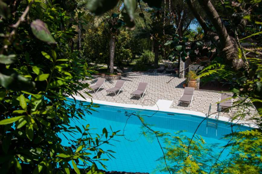 Ein großer Swimmingpool umgeben von Bäumen und Stühlen