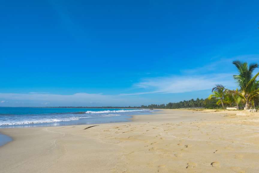 Ein Strand mit Palmen und einem blauen Himmel