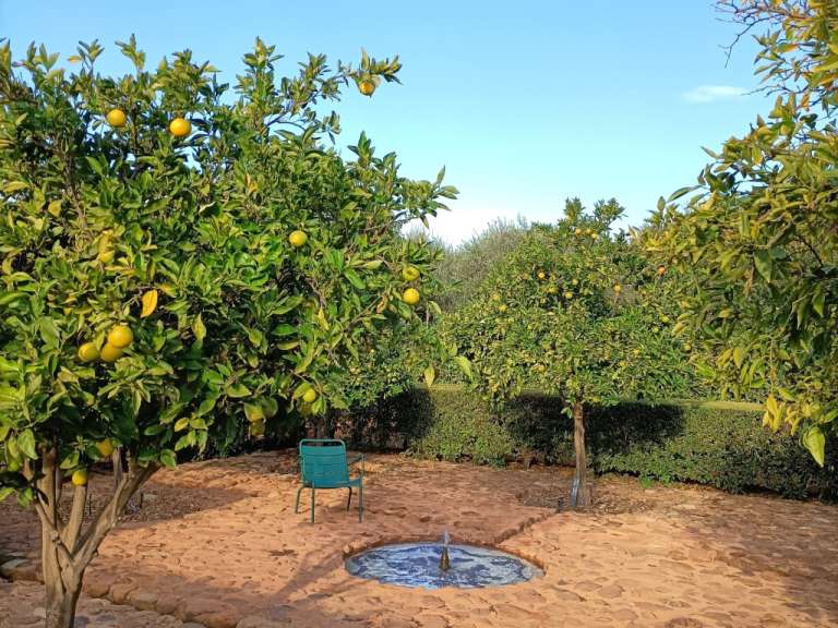 Ein blauer Stuhl sitzt in einem Garten mit Bäumen und einem Brunnen