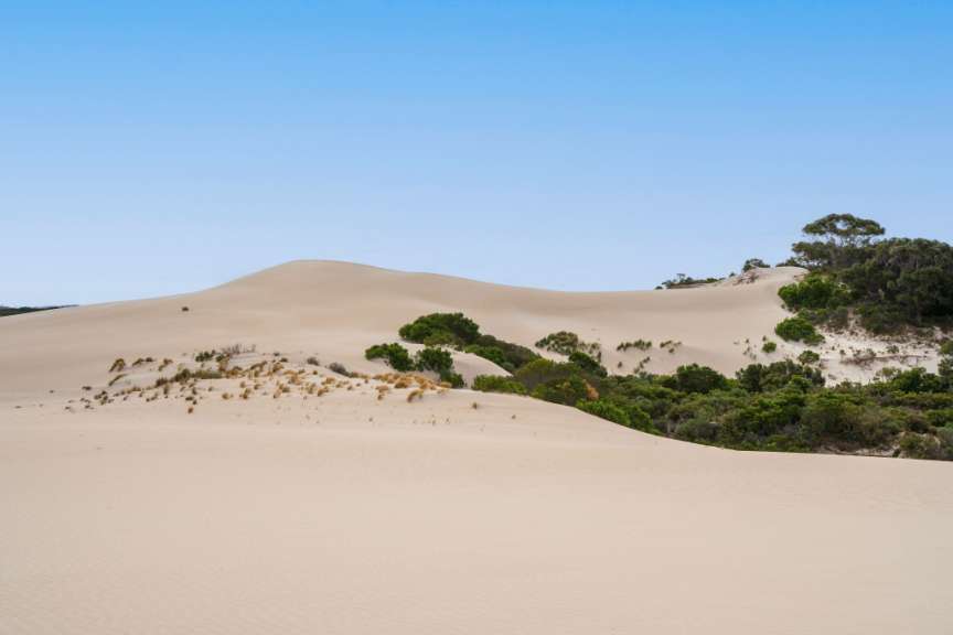 Eine Düne mit Bäumen und einem blauen Himmel dahinter