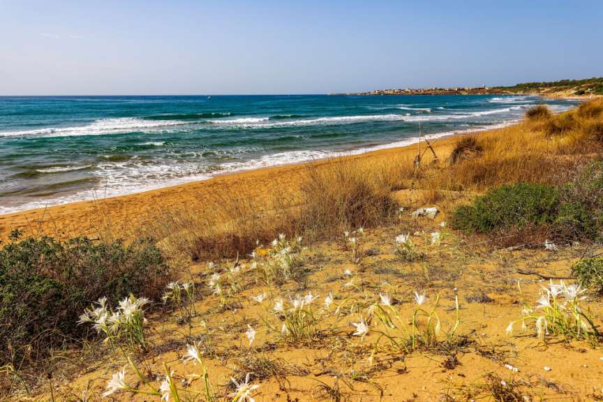 Spiaggia dei Gigli