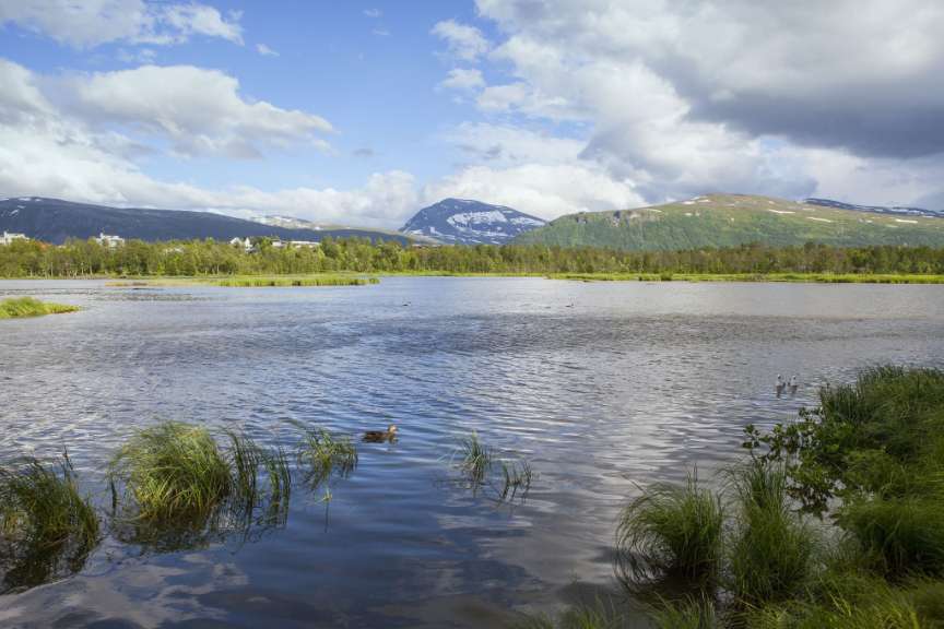 Eine Ente schwimmt in einem See mit Bergen im Hintergrund