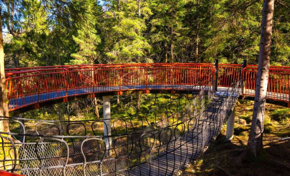 Eine Hängebrücke im Wald mit einem roten Geländer
