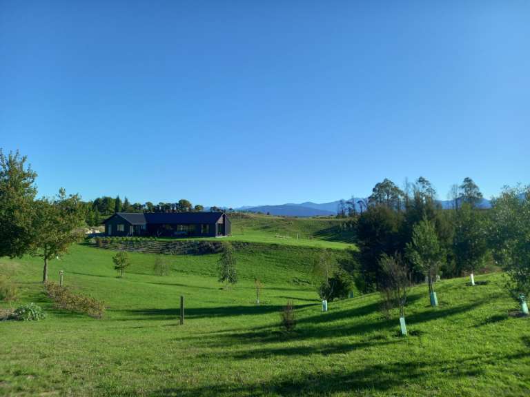 Ein grünes Feld mit einem Haus im Hintergrund