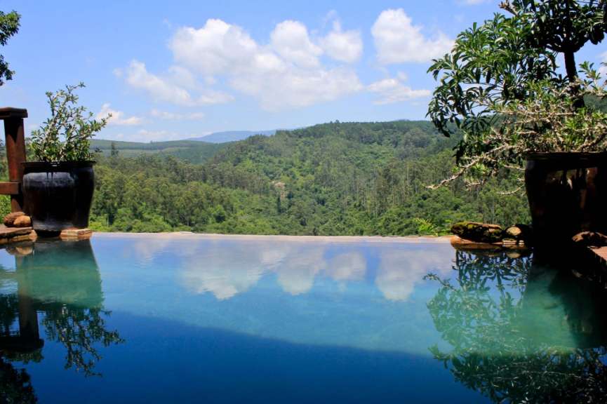 Ein Infinity-Pool mit Blick auf einen Wald