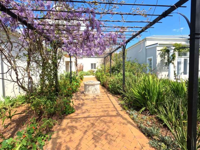 Eine Pergola mit lila Blüten über einem Backsteinweg