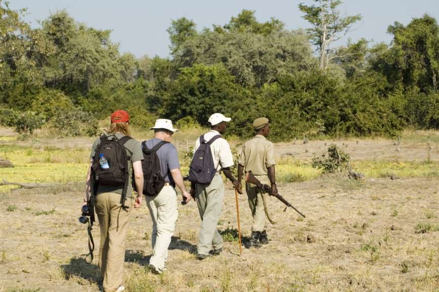 Eine Gruppe von Menschen geht durch ein Feld