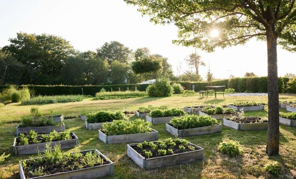 Ein Garten mit vielen Blumenbeeten und einem Tisch