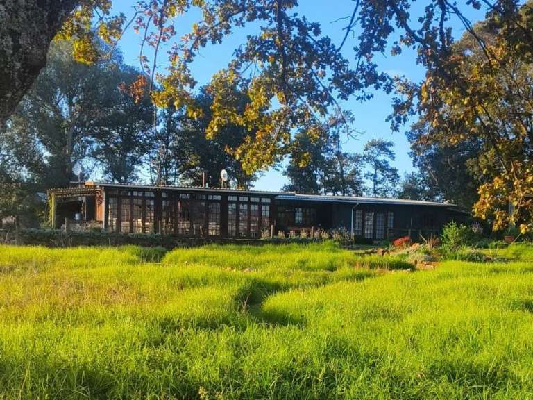 Ein Haus mit vielen Fenstern sitzt inmitten eines grünen Feldes