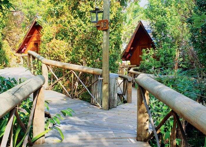 Ein Holzsteg führt zu einem Baumhaus mit der Nummer 13