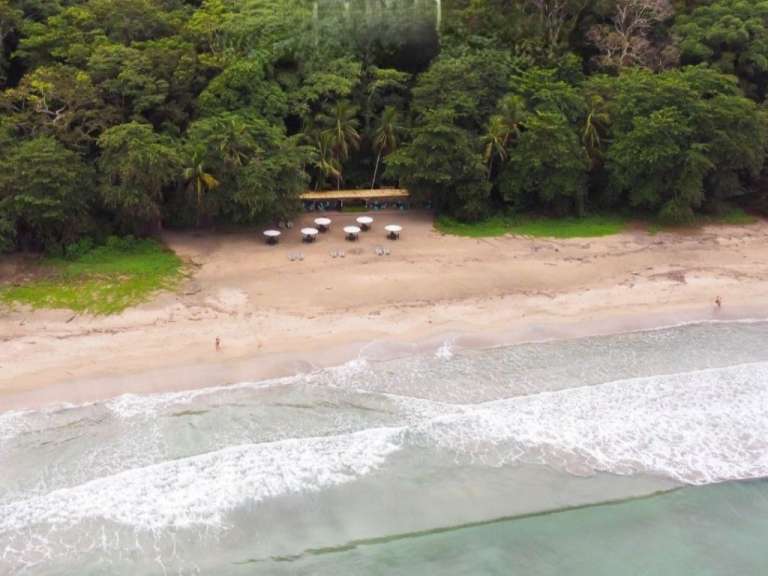 Eine Drohnenaufnahme zeigt einen einsamen Strand mit einem dichten Dschungel im Hintergrund.
