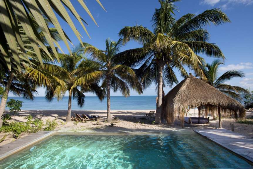Ein Strand mit Palmen und einem Swimmingpool