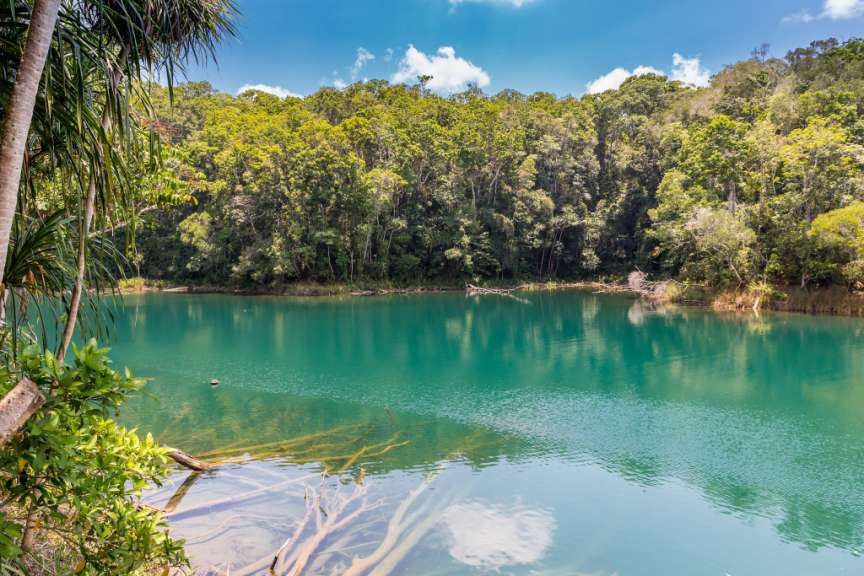 Ein grüner See umgeben von Bäumen an einem sonnigen Tag