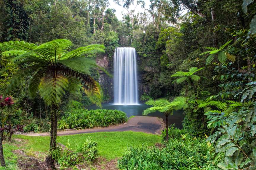 Ein Wasserfall inmitten eines grünen Dschungels