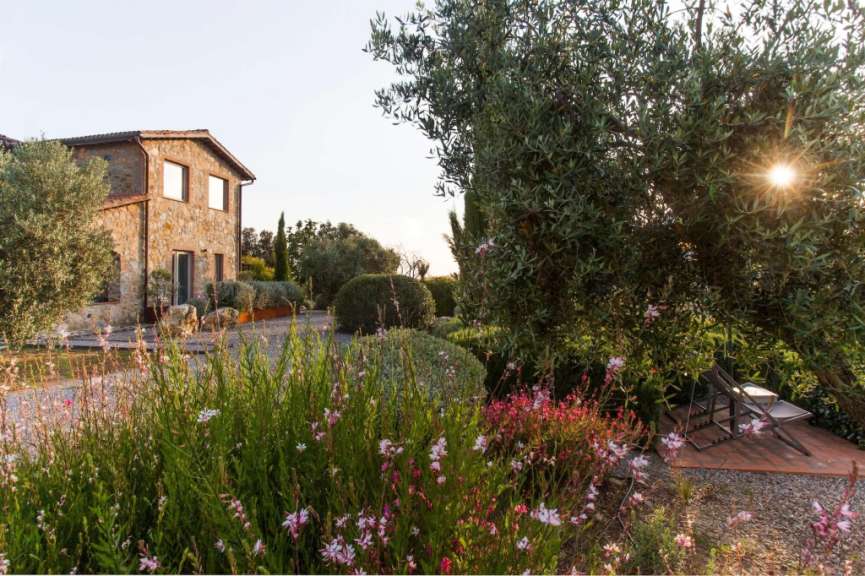 Die Sonne scheint durch die Bäume in einem Garten