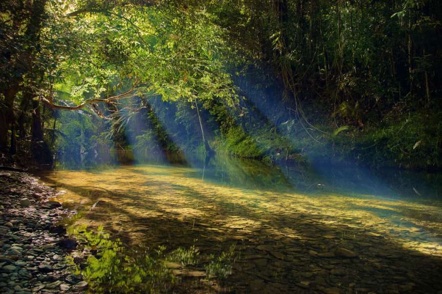 Die Sonne scheint durch die Bäume auf einen Fluss