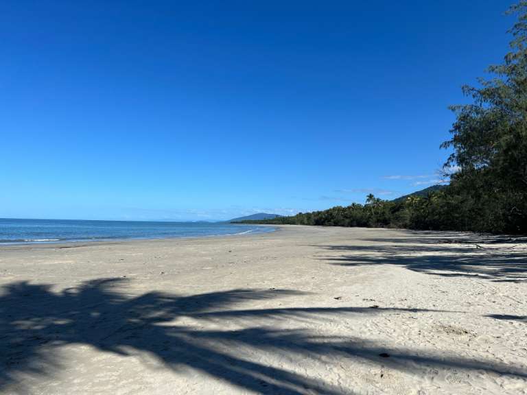 Ein Strand mit Palmen und Bergen im Hintergrund