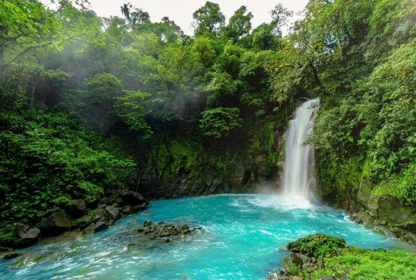 Ein Wasserfall inmitten eines üppigen grünen Waldes