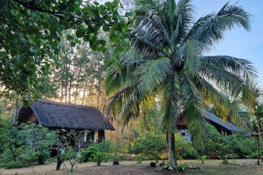 Bungalows mit Strohdach stehen unter Palmen und Bäumen im Sonnenlicht.