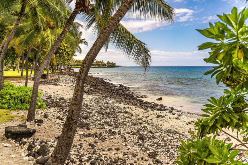 Ein Strand mit Palmen und Felsen an einem sonnigen Tag