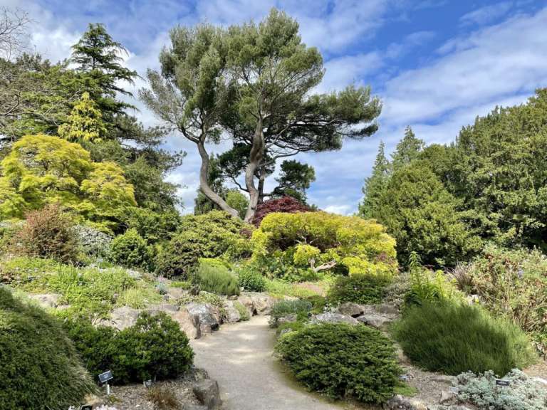 Ein Weg führt durch einen Garten mit vielen Bäumen und Pflanzen