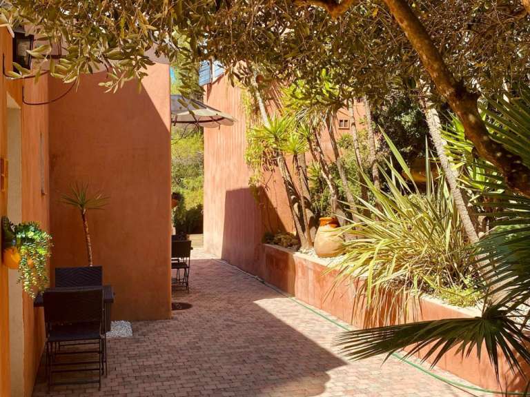 Ein natürlicher Garten mit Bäumen und Stühlen in der Nähe einer roten Wand