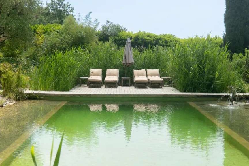 Liegestühle stehen auf einem Holzdeck neben einem grünen Pool