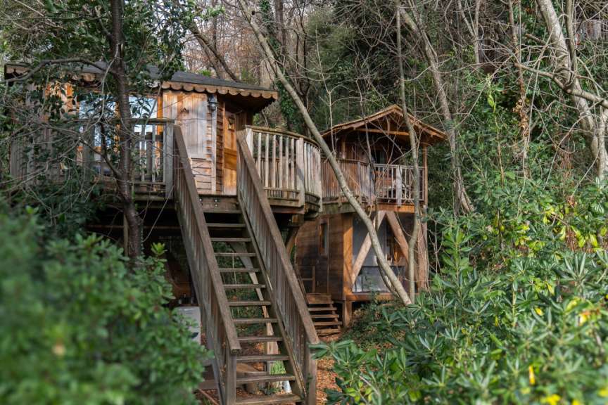 Eine Treppe führt zu einem Baumhaus im Wald