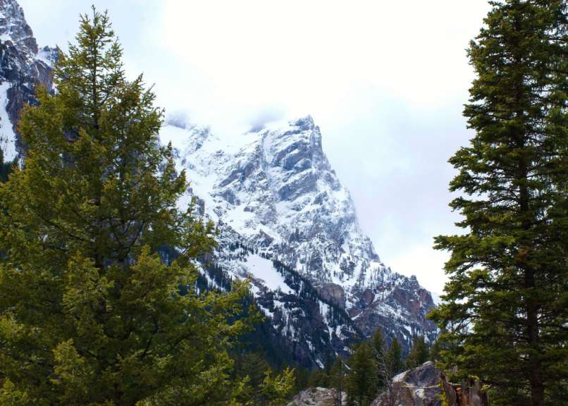 Ein schneebedeckter Berg mit Bäumen im Vordergrund