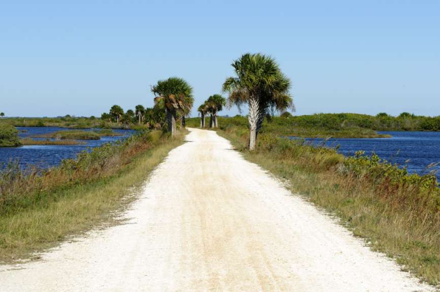 Eine unbefestigte Straße mit Palmen und Wasser im Hintergrund