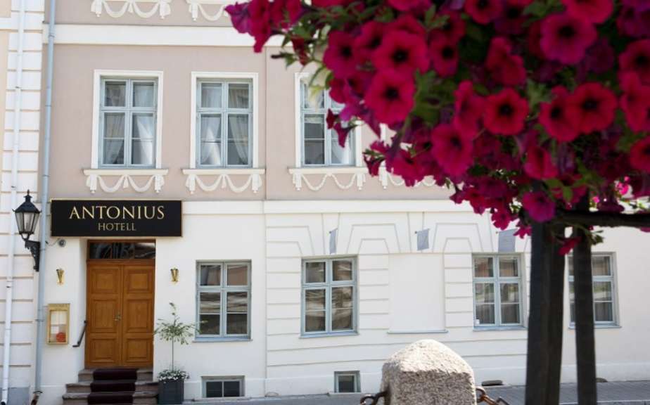 Die Vorderseite des antonius Hotel mit rosa Blumen im Vordergrund