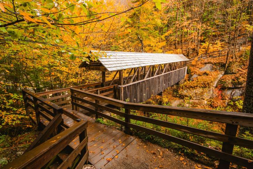 Eine Fußgängerbrücke überquert im Herbst einen mit Bäumen bedeckten Bach.