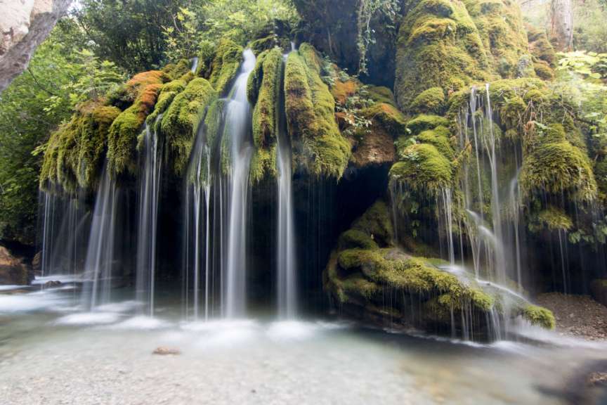 Ein Wasserfall inmitten eines üppigen grünen Waldes