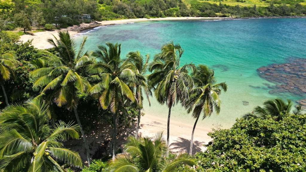 Ein tropischer Strand mit Palmen und klarem Wasser