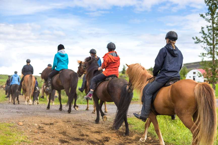 Eine Gruppe von Menschen reitet auf Pferden auf einem Feldweg